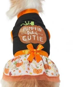 Frisco Pumpkin Patch Cutie Dog & Cat Dress -Frisco Sales 2024 215783 PT3. SY630 V1632428193