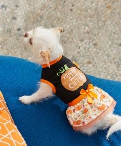 Frisco Pumpkin Patch Cutie Dog & Cat Dress -Frisco Sales 2024 215783 PT8. SY630 V1599001006
