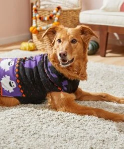 Frisco Spooky Ghost Dog & Cat Sweater -Frisco Sales 2024 215797 PT8. SY630 V1599226290