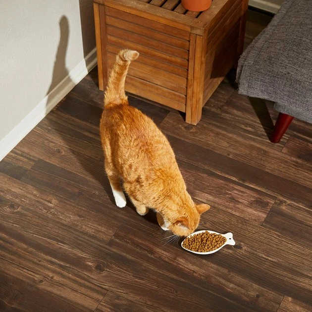 Frisco Fish Shaped Cat Dish, Cream Frisco Fish Shaped Cat Dish -Frisco Sales 2024 216010 PT7. SY630 V1605667102