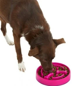 Frisco Bone Shaped Ridges Slow Feed Bowl, 3 Cups -Frisco Sales 2024 216040 PT6. SY630 V1605656524