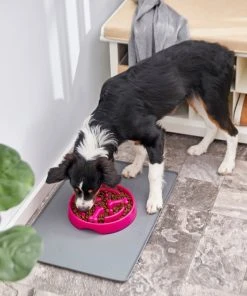 Frisco Bone Shaped Ridges Slow Feed Bowl, 3 Cups -Frisco Sales 2024 216040 PT7. SY630 V1605655950