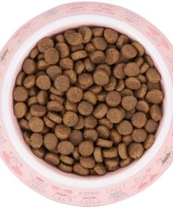 Frisco Pink Cute Cats Melamine Cat Bowl, 1.5 Cup -Frisco Sales 2024 216043 PT4. SY630 V1591020694