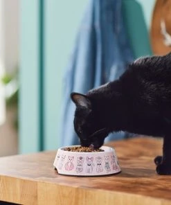 Frisco Pink Cute Cats Melamine Cat Bowl, 1.5 Cup -Frisco Sales 2024 216043 PT7. SY630 V1633025211