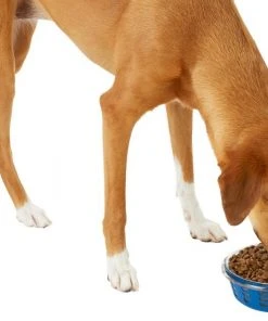 Frisco Chevron Design Glass Bowl with Silicone Sleeve, 4.25 Cups -Frisco Sales 2024 216049 PT6. SY630 V1605654757