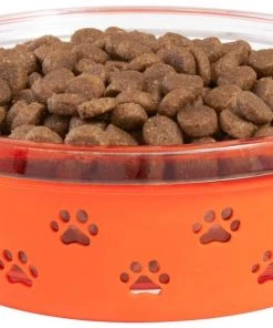 Frisco Paw Design Glass Bowl with Silicone Sleeve, 3 Cups -Frisco Sales 2024 216055 PT2. SY630 V1591020760