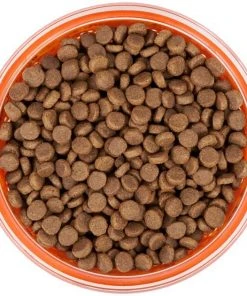 Frisco Paw Design Glass Bowl with Silicone Sleeve, 3 Cups -Frisco Sales 2024 216055 PT4. SY630 V1591020767