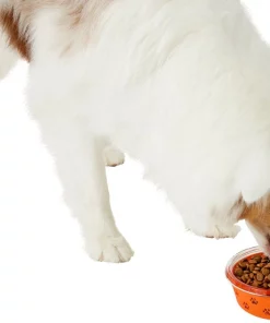 Frisco Paw Design Glass Bowl with Silicone Sleeve, 3 Cups -Frisco Sales 2024 216055 PT6. SY630 V1605655922