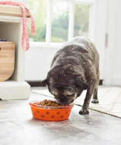 Frisco Paw Design Glass Bowl with Silicone Sleeve, 3 Cups -Frisco Sales 2024 216055 PT7. SY630 V1605660423