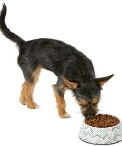 Frisco Chevron Brushed Melamine Bowl -Frisco Sales 2024 216059 PT6. SY630 V1605665808