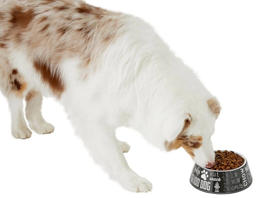 Frisco Doggie Melamine Bowl, 3 Cup 8 Frisco Doggie Melamine Bowl, 3 Cup - Image 6