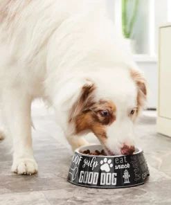 Frisco Doggie Melamine Bowl, 3 Cup 15 Frisco Doggie Melamine Bowl, 3 Cup -Frisco Sales 2024 216062 PT7. SY630 V1605658314