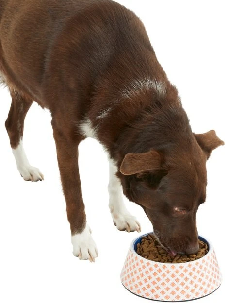 Frisco Southwest Melamine Bowl, 3 Cup 8 Frisco Southwest Melamine Bowl, 3 Cup - Image 6