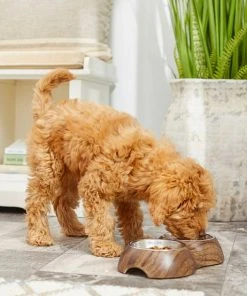 Frisco Double Stainless Steel Bowl, Wood Design, 0.75 Cup 15 Frisco Double Stainless Steel Bowl, Wood Design, 0.75 Cup -Frisco Sales 2024 216068 PT7. SY630 V1605666481