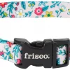 Frisco Spring Floral Polyester Dog Collar -Frisco Sales 2024 218214 MAIN. SY630 V1590604315