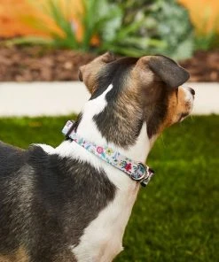 Frisco Spring Floral Polyester Dog Collar -Frisco Sales 2024 218214 PT4. SY630 V1597600280