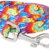 Frisco Tie Dye Swirl Polyester Dog Leash -Frisco Sales 2024 218246 MAIN. SY630 V1590604895