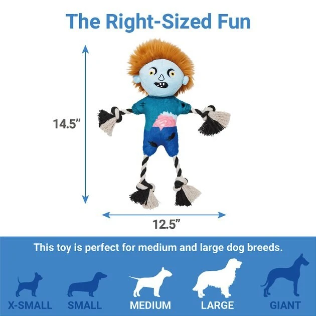 Frisco Zombie Boy Plush with Rope Squeaky Dog Toy Frisco Zombie Boy Plush with Rope Squeaky Dog Toy -Frisco Sales 2024 218569 PT1. SY630 V1599851479