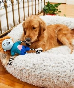 Frisco Zombie Boy Plush with Rope Squeaky Dog Toy 4 Frisco Zombie Boy Plush with Rope Squeaky Dog Toy -Frisco Sales 2024 218569 PT6. SY630 V1597599376