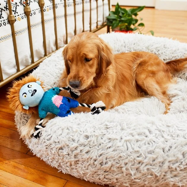 Frisco Zombie Boy Plush with Rope Squeaky Dog Toy Frisco Zombie Boy Plush with Rope Squeaky Dog Toy -Frisco Sales 2024 218569 PT6. SY630 V1597599376