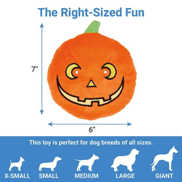 Frisco Halloween Pumpkin Round Plush Squeaky Dog Toy 4 Frisco Halloween Pumpkin Round Plush Squeaky Dog Toy - Image 2