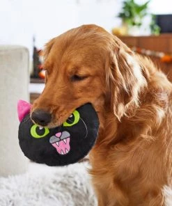 Frisco Black Cat Round Plush Squeaky Dog Toy 7 Frisco Black Cat Round Plush Squeaky Dog Toy -Frisco Sales 2024 218587 PT6. SY630 V1597599384