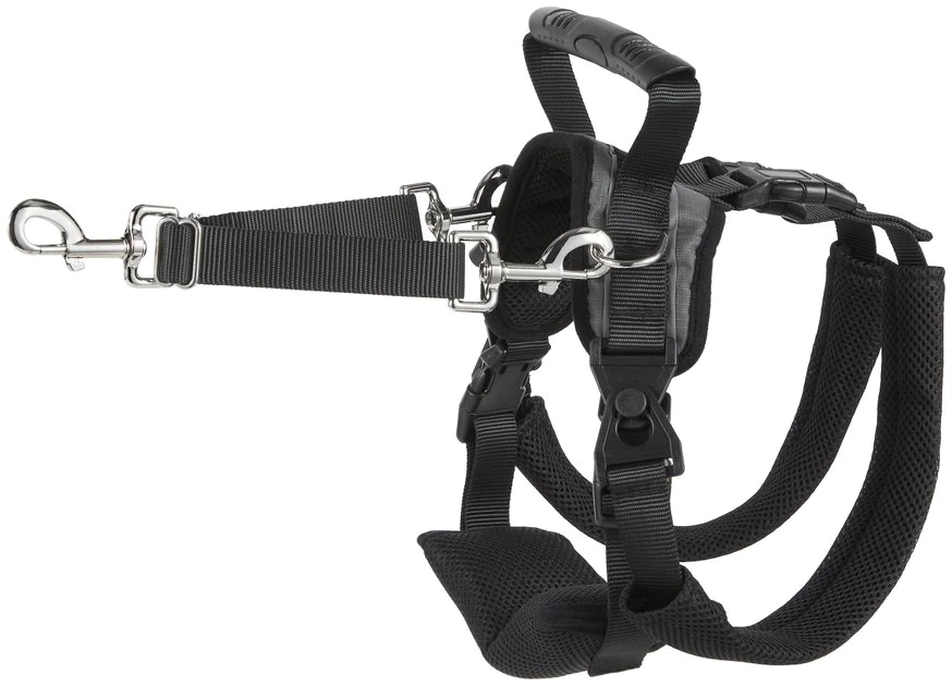 Frisco Rear Lift Handicapped Support Dog Harness, Medium Frisco Rear Lift Handicapped Support Dog Harness -Frisco Sales 2024 220374 MAIN. SY630 V1596501657
