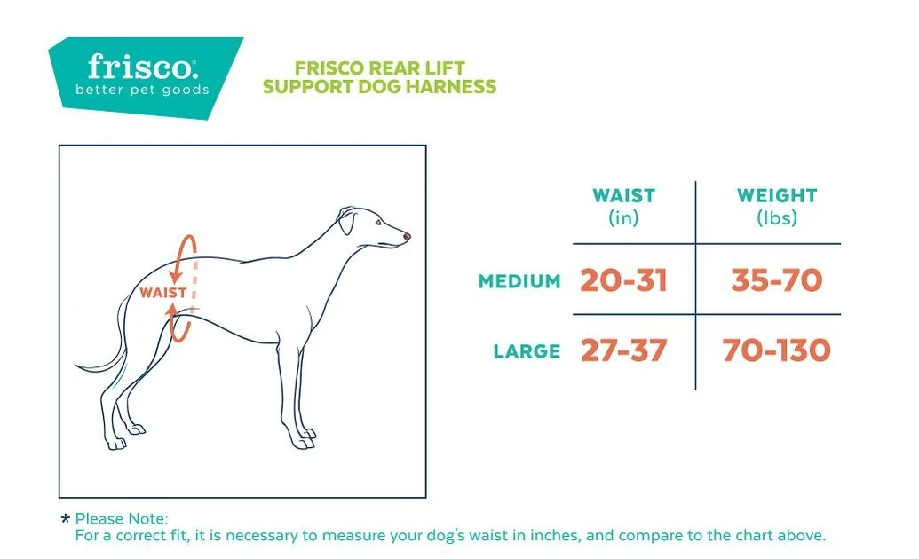 Frisco Rear Lift Handicapped Support Dog Harness, Medium Frisco Rear Lift Handicapped Support Dog Harness -Frisco Sales 2024 220374 PT1. SY630 V1596754272
