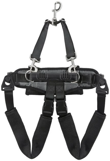 Frisco Rear Lift Handicapped Support Dog Harness, Medium Frisco Rear Lift Handicapped Support Dog Harness -Frisco Sales 2024 220374 PT2. SY630 V1596501658