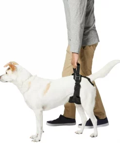 Frisco Rear Lift Handicapped Support Dog Harness 5 Frisco Rear Lift Handicapped Support Dog Harness -Frisco Sales 2024 220374 PT5. SY630 V1605743213