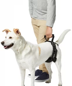 Frisco Rear Lift Handicapped Support Dog Harness 6 Frisco Rear Lift Handicapped Support Dog Harness -Frisco Sales 2024 220374 PT6. SY630 V1605755228