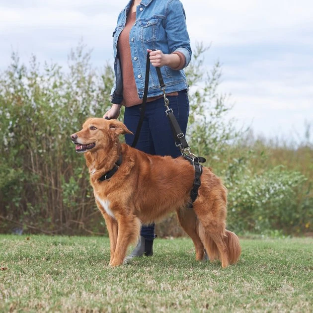 Frisco Rear Lift Handicapped Support Dog Harness, Medium Frisco Rear Lift Handicapped Support Dog Harness -Frisco Sales 2024 220374 PT7. SY630 V1605754619