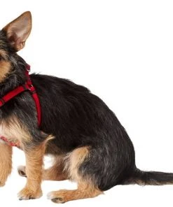 Frisco Nylon Step In Back Clip Dog Harness -Frisco Sales 2024 220505 PT2. SY630 V1605571047