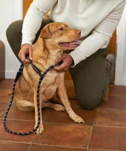 Frisco Reflective Rope Slip Lead Dog Leash -Frisco Sales 2024 221212 PT4. SY630 V1602862584