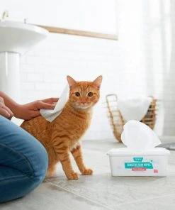Frisco Sensitive Skin Waterless Grooming Wipes with Aloe and Honeysuckle for Dogs & Cats, 100 count -Frisco Sales 2024 222143 PT2. SY630 V1602825989