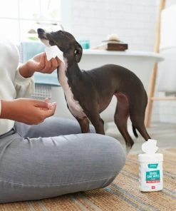 Frisco Dog Dental Care Wipes, 30 count -Frisco Sales 2024 222169 PT1. SY630 V1620938952