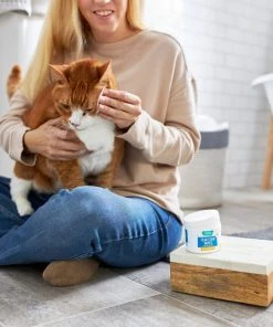 Frisco Tear Stain Eye Wipes for Puppies & Kittens, 45 count 8 Frisco Tear Stain Eye Wipes for Puppies & Kittens, 45 count -Frisco Sales 2024 222171 PT2. SY630 V1602846989