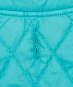 Frisco Packable Lightweight Gradient Insulated Dog & Cat Jacket -Frisco Sales 2024 223909 PT5. SY630 V1599571263