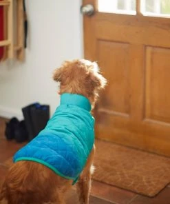 Frisco Packable Lightweight Gradient Insulated Dog & Cat Jacket -Frisco Sales 2024 223909 PT7. SY630 V1601578610