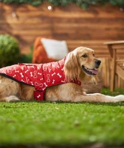 Frisco Patterned Bones Insulated Dog & Cat Coat -Frisco Sales 2024 223953 PT7. SY630 V1601578878