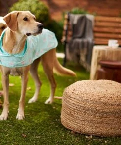 Frisco Flamingo Dog Raincoat -Frisco Sales 2024 224065 PT7. SY630 V1614985901