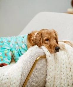 Frisco Sea Creatures Dog & Cat Cozy Fleece PJs 11 Frisco Sea Creatures Dog & Cat Cozy Fleece PJs -Frisco Sales 2024 224104 PT7. SY630 V1599565898