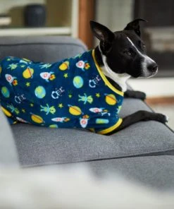 Frisco Outer Space Dog & Cat Cozy Fleece PJs -Frisco Sales 2024 224125 PT7. SY630 V1599923554