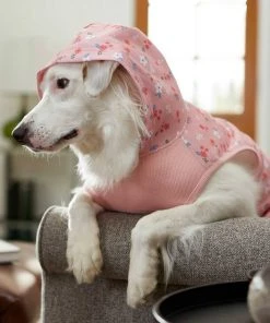 Frisco Floral Dog & Cat Hoodie 16 Frisco Floral Dog & Cat Hoodie -Frisco Sales 2024 224217 PT6. SY630 V1637651830