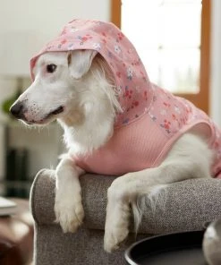 Frisco Floral Dog & Cat Hoodie 17 Frisco Floral Dog & Cat Hoodie -Frisco Sales 2024 224217 PT8. SY630 V1607568448