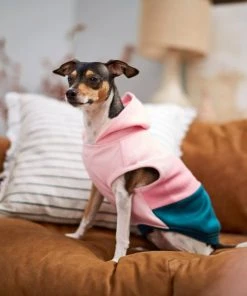 Frisco Colorblock Dog & Cat Sleeveless Hoodie 17 Frisco Colorblock Dog & Cat Sleeveless Hoodie -Frisco Sales 2024 224258 PT7. SY630 V1599924135