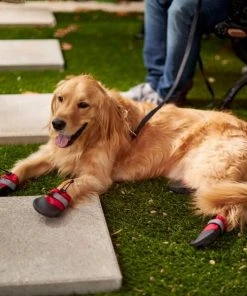 Frisco Anti-Slip Soft-Soled Dog Boots -Frisco Sales 2024 224360 PT7. SY630 V1601578001