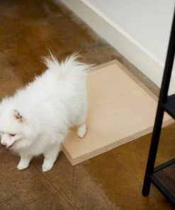 Frisco Large Eco-Conscious Dog Training & Potty Pads, 22 x 23-in, Unscented -Frisco Sales 2024 227438 PT6. SY630 V1604701050