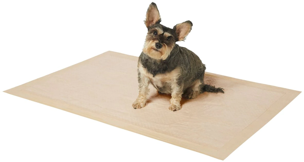 Frisco Giant Eco-Conscious Dog Training & Potty Pads, 27.5 x 44-in, Unscented 4 Frisco Giant Eco-Conscious Dog Training & Potty Pads, 27.5 x 44-in, Unscented - Image 2