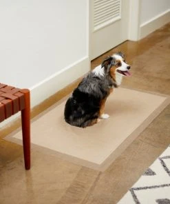 Frisco Giant Eco-Conscious Dog Training & Potty Pads, 27.5 x 44-in, Unscented 11 Frisco Giant Eco-Conscious Dog Training & Potty Pads, 27.5 x 44-in, Unscented -Frisco Sales 2024 227444 PT6. SY630 V1604702010